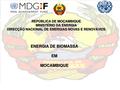 PT Energia De Biomassa-Capacitacao em Mapai-Chicualacuala Ministerio da Energia.pdf