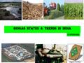 Biogas Status & Trends in India.pdf