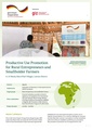 Productive Use Promotion for Rural Entrepreneurs and Smallholder Farmers GBE Case Study GIZ 2023.pdf