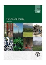 Les forêts et l’énergie