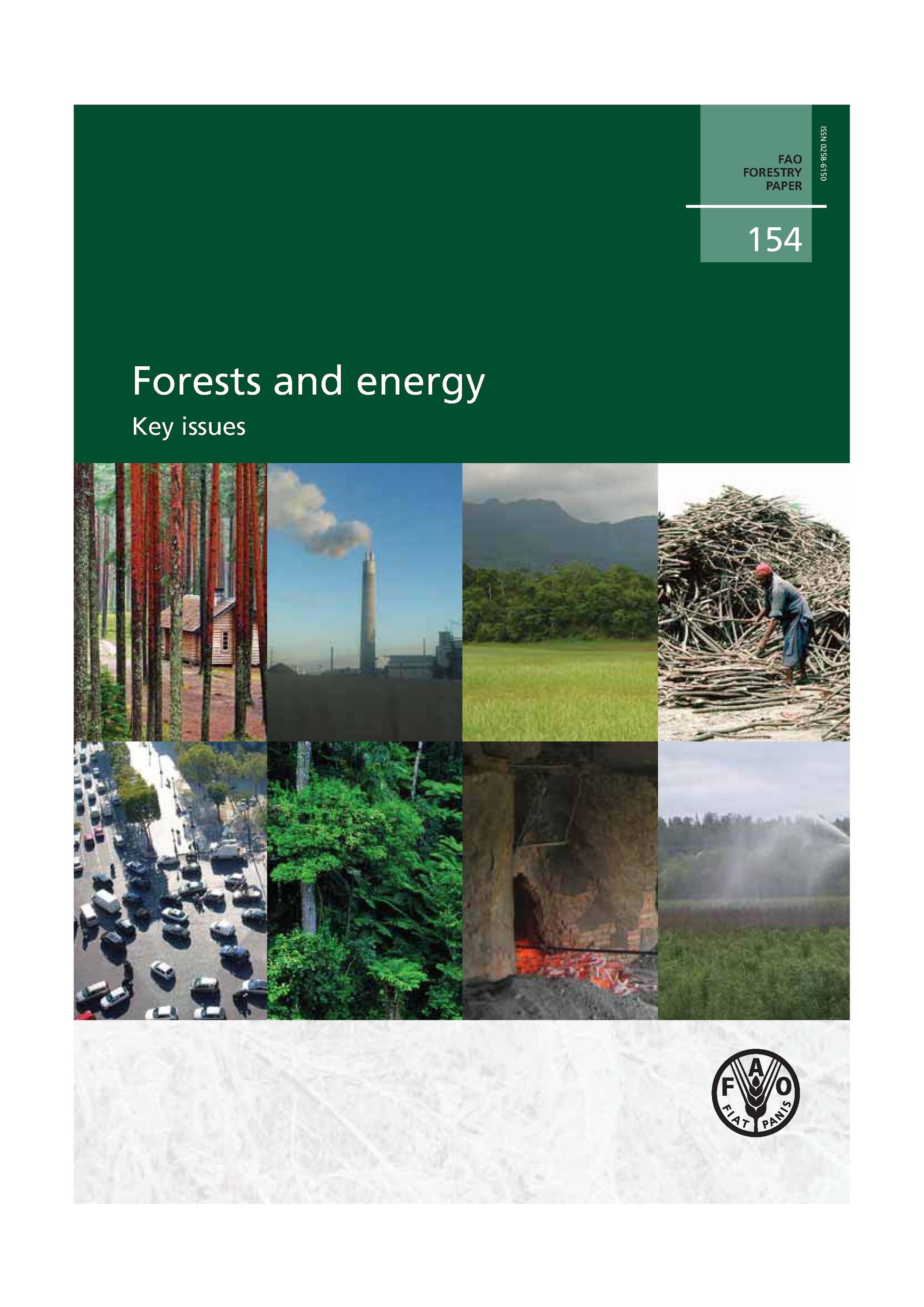 FAO (2008), Forests and Energy