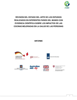 Impactos en la salud (Estado del Arte) - 2013.pdf
