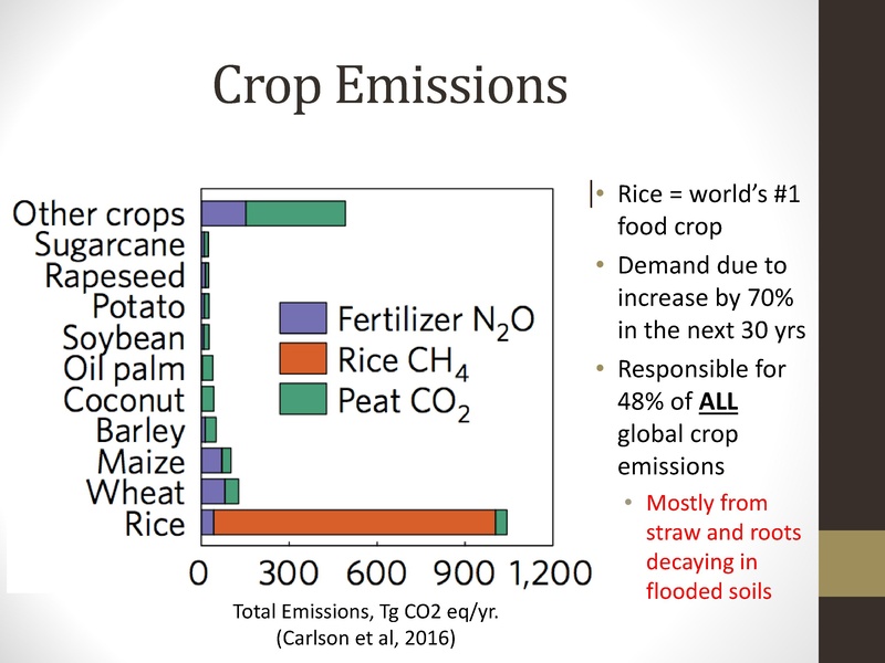 File:Jamieson presentation.pdf