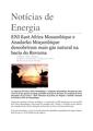 PT-ENI East Africa Mozambique e Anadarko Mocambique descobriram mais gas natural na bacia de Rovuma-Aunorius Andrews.pdf