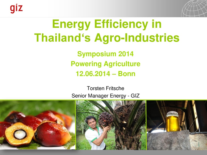 File:Energy Efficiency in Thailand‘s Agro-Industries.pdf