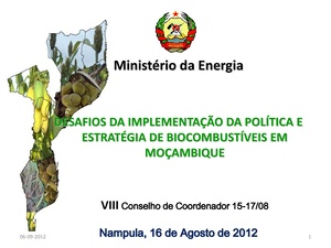 PT-Desafios na Implementação da Política e Estratégia de Biocombustíveis em Mocambique-Ministerio da Energia.pdf
