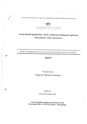 PT-Revisao sobre Jatropha curcas, seus usos e seu potencial de biodiesel em Mocambique-Joao Carlos Fernando.pdf