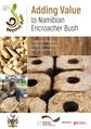 Encroacher Bush-based Value Chains (2015).pdf