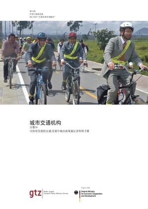 Urban Transport Institutions (cn).pdf