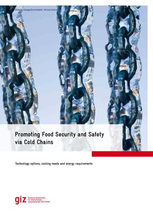 GIZ (2016) - Promoting Food Security and Safety via Cold Chains.pdf