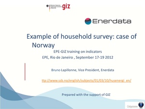 Example of Houshold Survey- Case of Norway.pdf
