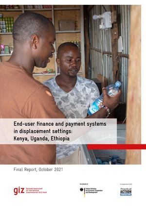 End User Finance System Report