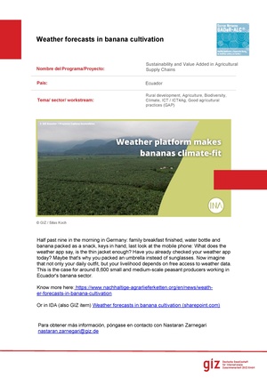 Weather forecasts in banana cultivation.pdf