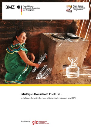 2014-03 Multiple Household Cooking Fuels GIZ HERA eng.pdf