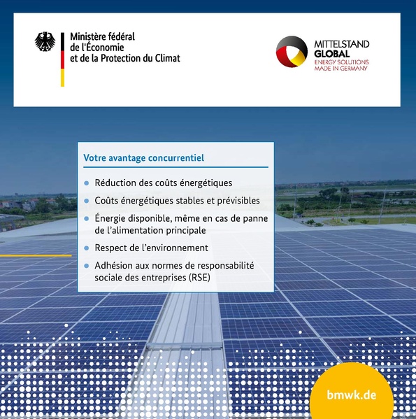 File:PDP Flyer BMWK 2022.pdf