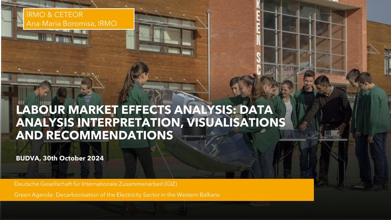 File:Boromisa labour market effects analysis IRMO 2024.pdf