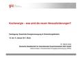 GIZ Im Abseits der Netze 012011 Herausforderungen Kochenergie Kees.pdf