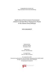Environmental Assessment of Micro Hydropower Plants in Ethiopia.pdf