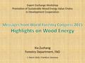 Messages from the World Forestry Congress 2015 - Highlights on Wood Energy.pdf