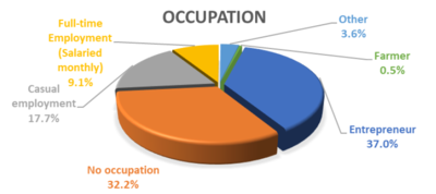 Occupation in Displacement Settings shown as a pie chart