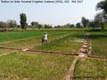 Irrigation 7.jpg