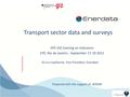 Transport Sector Data and Surveys.pdf