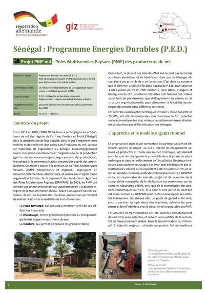 File:PED GIZ FS PMPmil agrobusiness.pdf