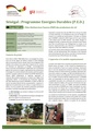 PED GIZ FS PMPmil agrobusiness.pdf