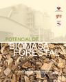 Potencial Biomasa Forestal Chile.pdf