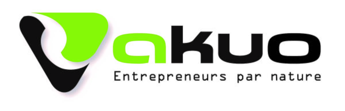 Stakeholder: SolarGem by Akuo - energypedia