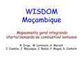 PT-WISDOM Mozambique-R. Drigo, M. Lorenzini .et. al..pdf