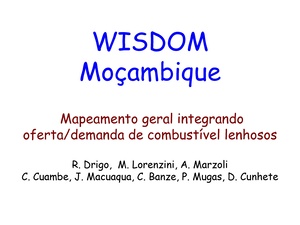 PT-WISDOM Mozambique-R. Drigo, M. Lorenzini .et. al..pdf