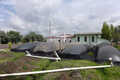 P1080081-800x534.png