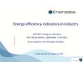 Energy Efficiency Indicators in industry.pdf