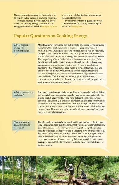 File:FAQ-around-cookstoves-and-fuels GIZ HERA 2015.pdf