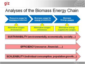 GIZ Analysis of the biomass energy chain.jpg
