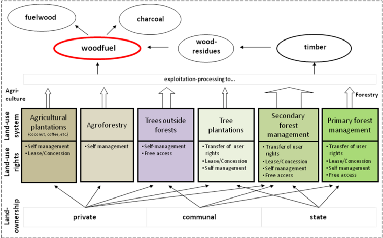 Origin of Woodfuels.png