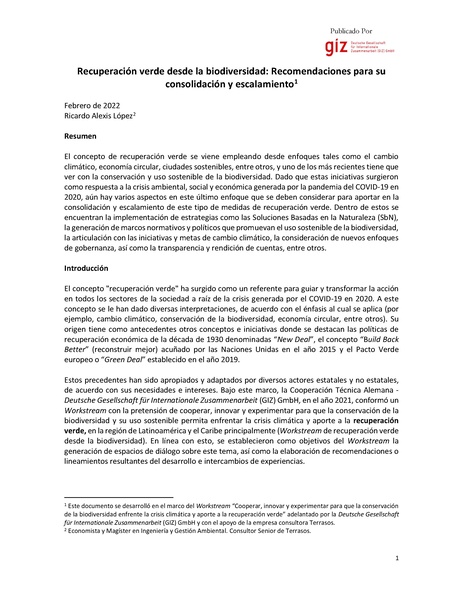 File:080222 GIZ Paper Recomendaciones recuperación verde biodiversidad VF Limpio.pdf