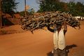 Mozambique - firewood collector.jpg