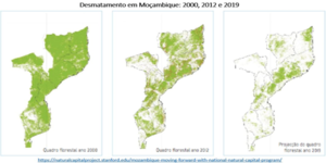 Fig.9 Projecção do desmatamento de 2000-2019.png