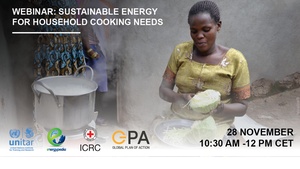 Webinar Sustainable Energy for Household Cooking Needs 2019.pdf