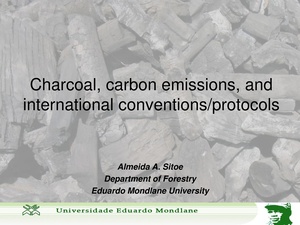 EN-Charcoal, carbon emissions and international onventions;protocols-Almeida A. Sitoe.pdf