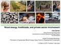 Wood Energy, Livelihoods, and Private Sector Involvement.pdf