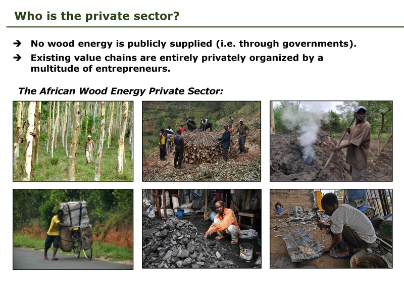 File:Wood Energy, Livelihoods, and Private Sector Involvement.pdf