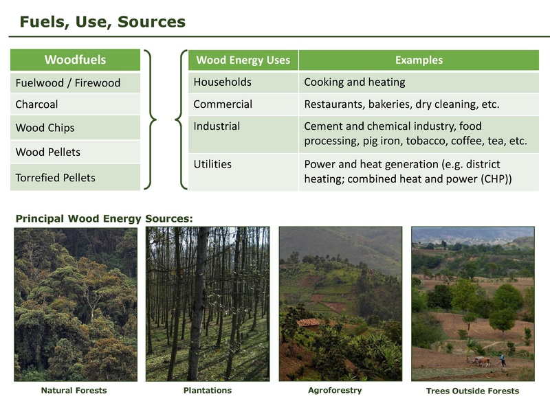 File:Wood Energy, Livelihoods, and Private Sector Involvement.pdf
