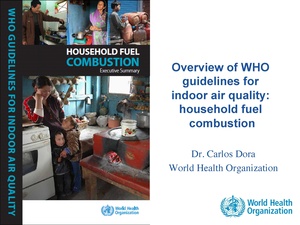 Overview of WHO Guidelines for Indoor Air Quality - Household Fuel Combustion 2014.pdf