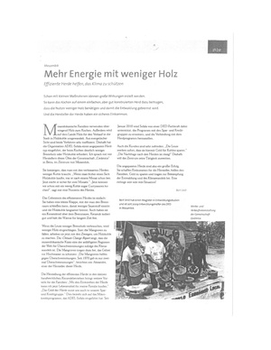 DE Mehr Energie mit Weniger Holz Bert Smit.pdf