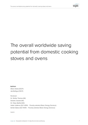 Bigee cookingstoves worldwide potential.pdf