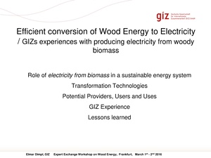 Efficient Conversion of Wood Energy to Electricity.pdf