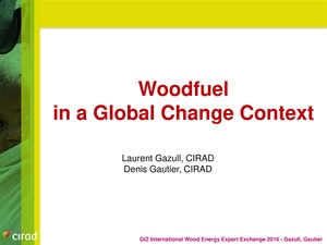 Woodfuel in a Global Change Context.pdf